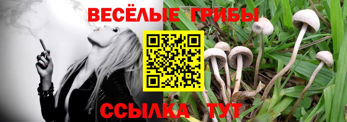 Галлюциногенные грибы прущие грибы  Вход с VPN  Лыткарино 